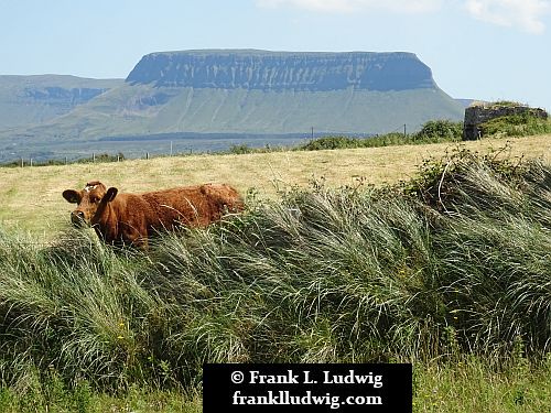 Streedagh Strand